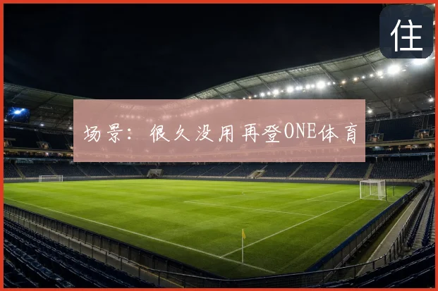 场景:很久没用再登ONE体育